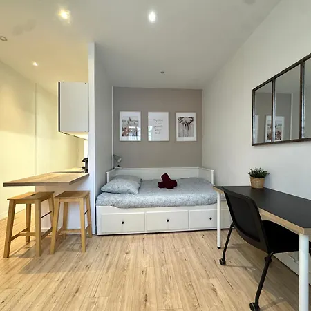 Appartement Place De Metz, Hyper-centre Grenoble, 25 M2 *