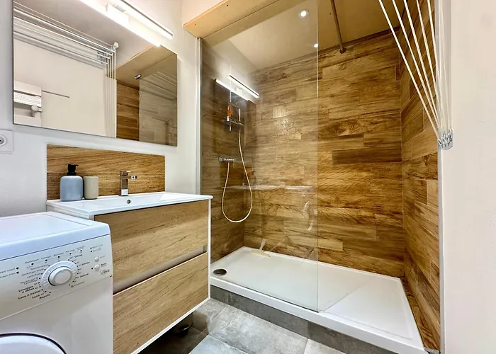 Appartement Place De Metz, Hyper-centre Grenoble, 25 M2 Grenoble