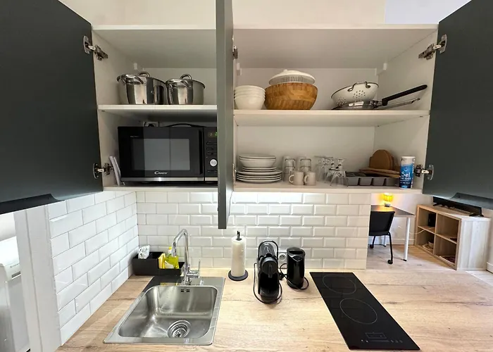 Appartement Place De Metz, Hyper-centre Grenoble, 25 M2