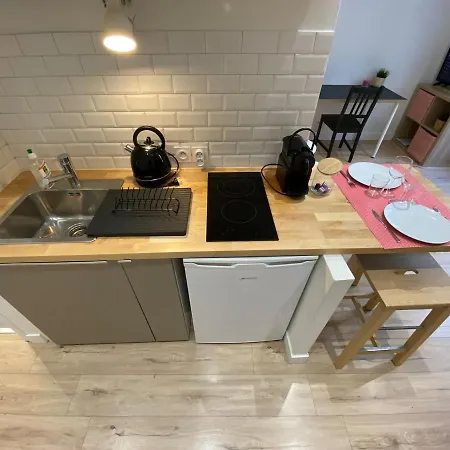 Appartement Place De Metz, Hyper-centre Grenoble, 25 M2