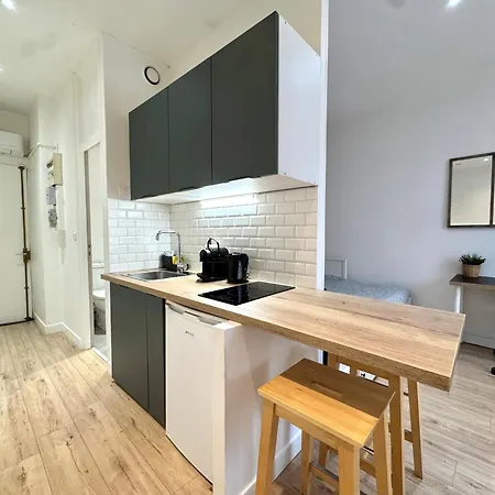 Le Cocon, Hyper-centre, Climatisation, Trams * גרנובל