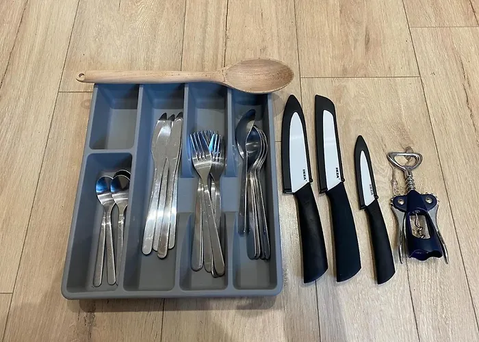 Le Cocon, Hyper-centre, Climatisation, Trams *